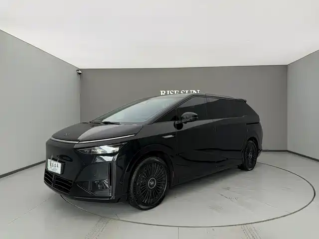 Xpeng X9 Последовательный гибрид, 1602 Max