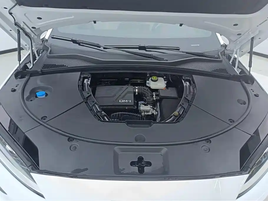 BYD Song PLUS PHEV 2024 Glory Edition DM-i 110km Flagship PLUS фото 10