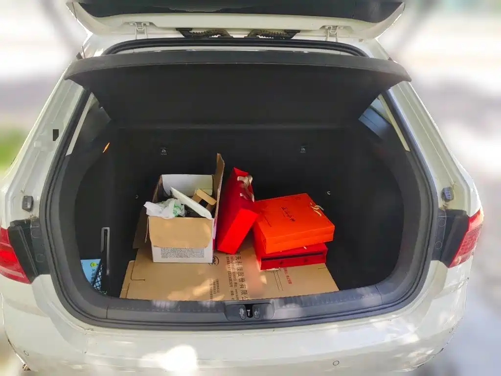 Photo 15 - Volkswagen Lavida Tour