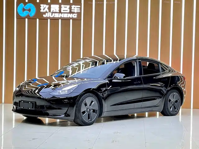 Tesla Model 3 Стандартный запас хода, задний привод, улучшенная, 3D6