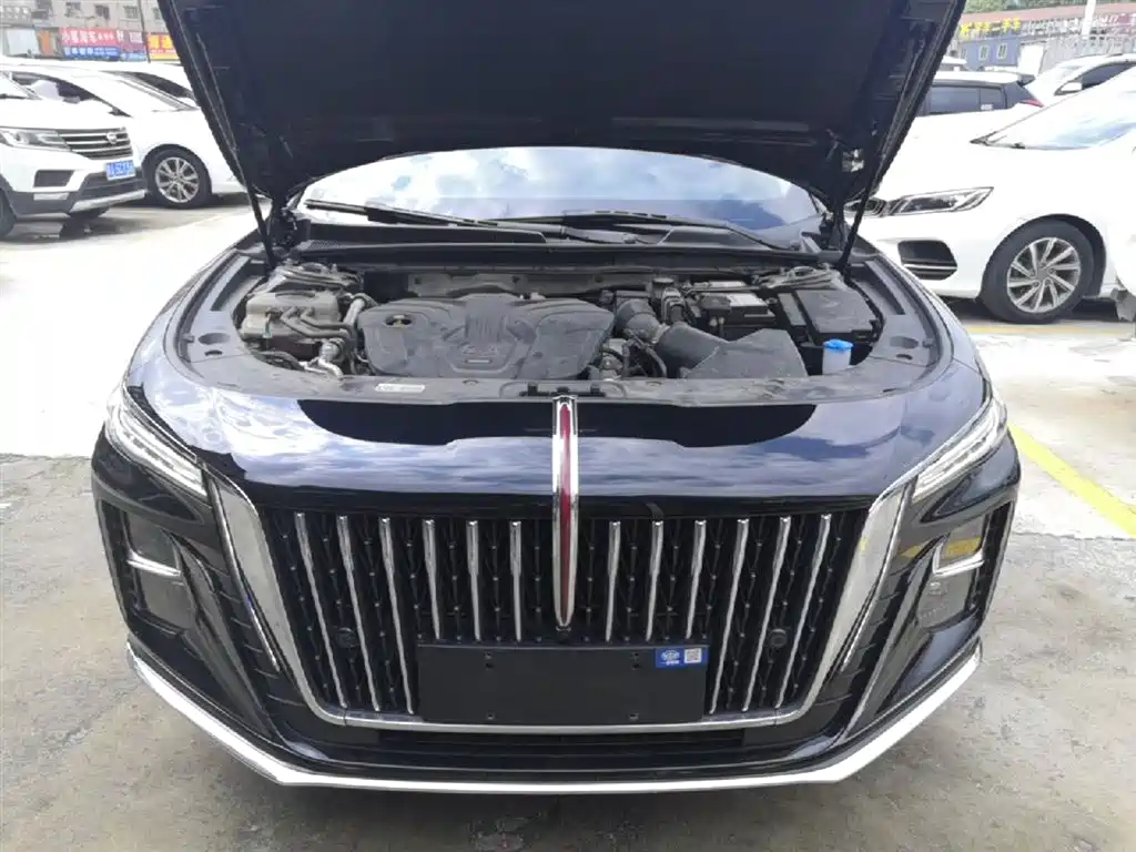 Hongqi H5 2024 2.0T Automatic Smart Connect Flag Enjoy Edition фото 20