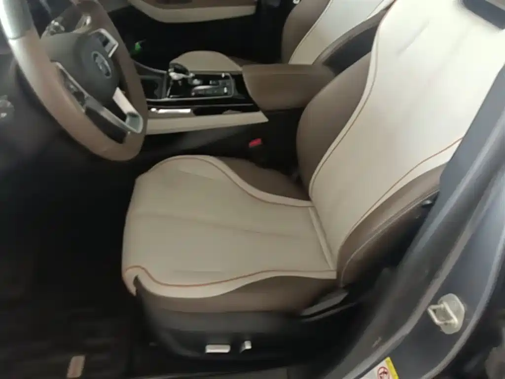 BYD Qin PLUS 2023 Champion Edition DM-i 120KM Excellence фото 15