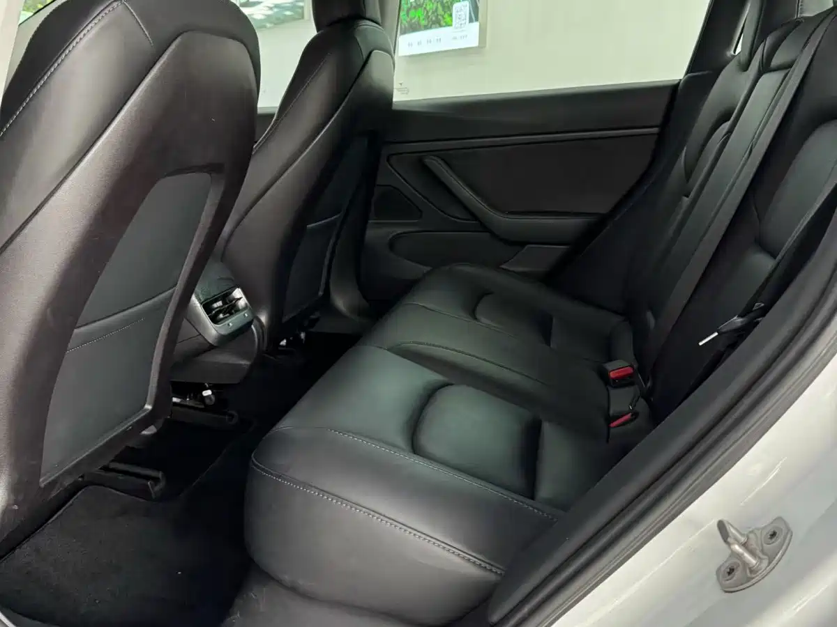 Tesla Model 3 (Import) 2019 2019 Long Range All-Wheel Drive Edition