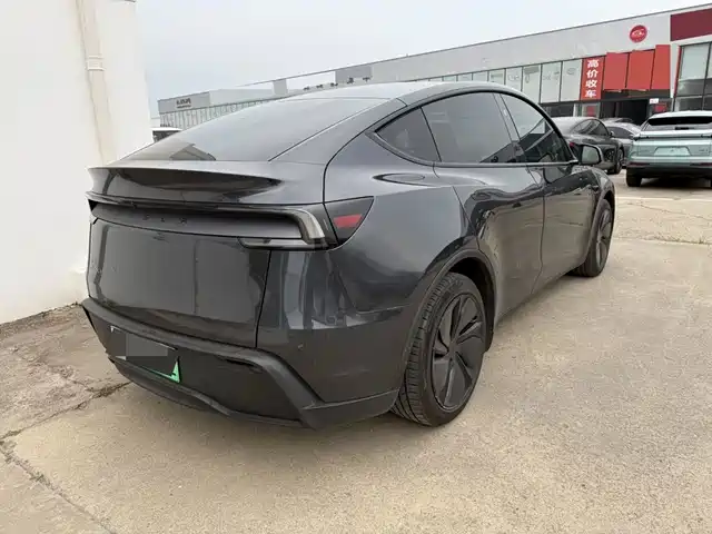 Tesla Model Y 2025 Model Rear-Wheel Drive Launch Edition — фото 4