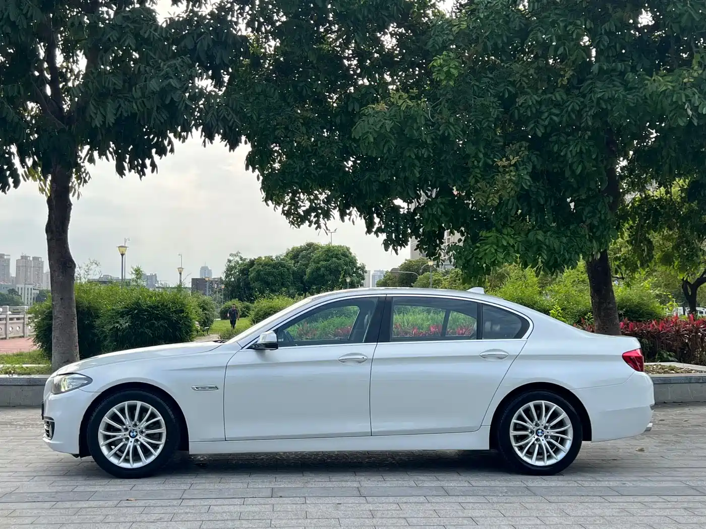 BMW 5 Series 2014 525Li Luxury Design Package фото 11