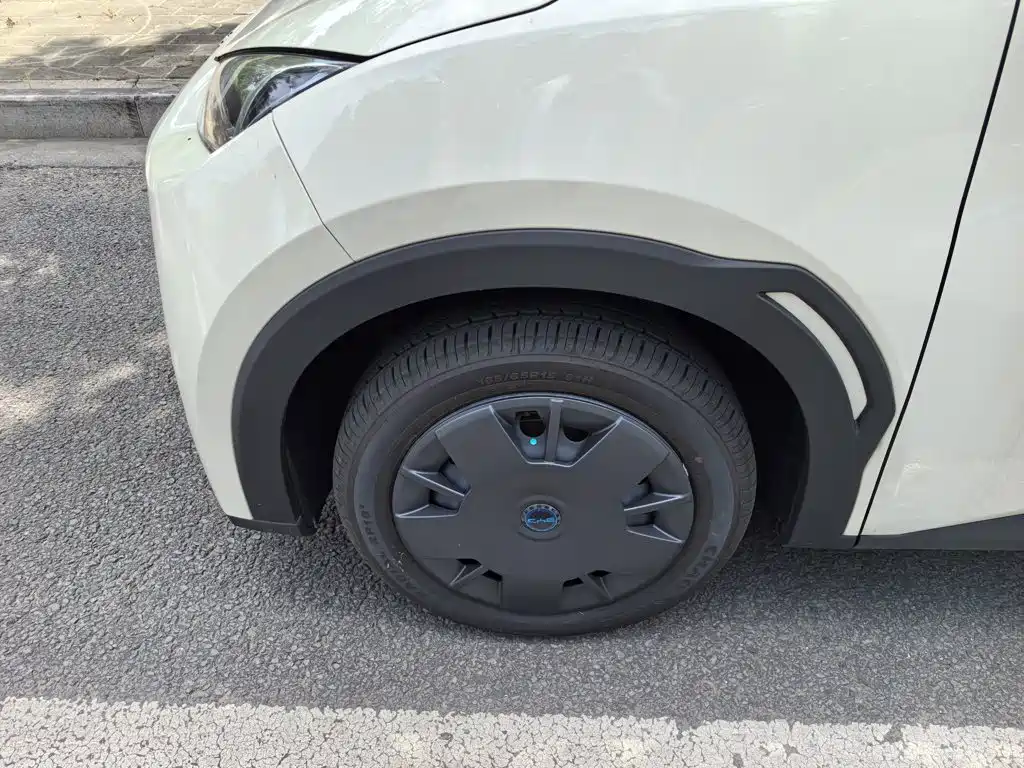BYD Seagull 2026 2025 Smart Drive Edition 305km Vitality Version
