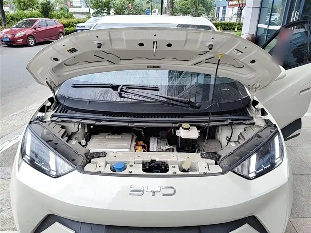 BYD Seagull 2025 305km Freedom фото 20