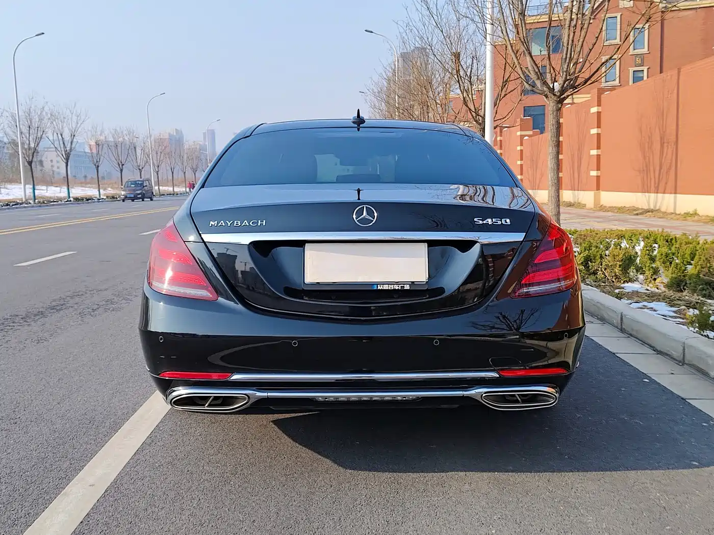 Mercedes-Benz Maybach S-Class 2019 S 450 4MATIC фото 28