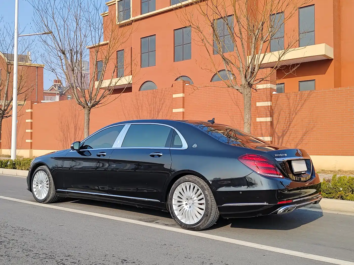 Mercedes-Benz Maybach S-Class 2019 S 450 4MATIC фото 29