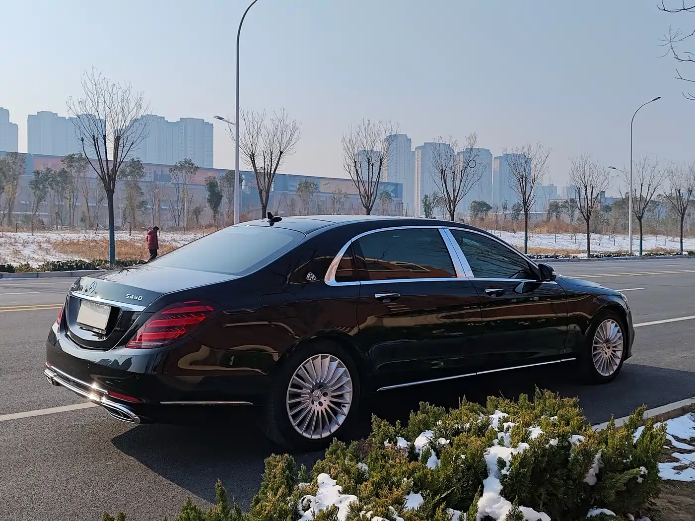 Mercedes-Benz Maybach S-Class 2019 S 450 4MATIC фото 27