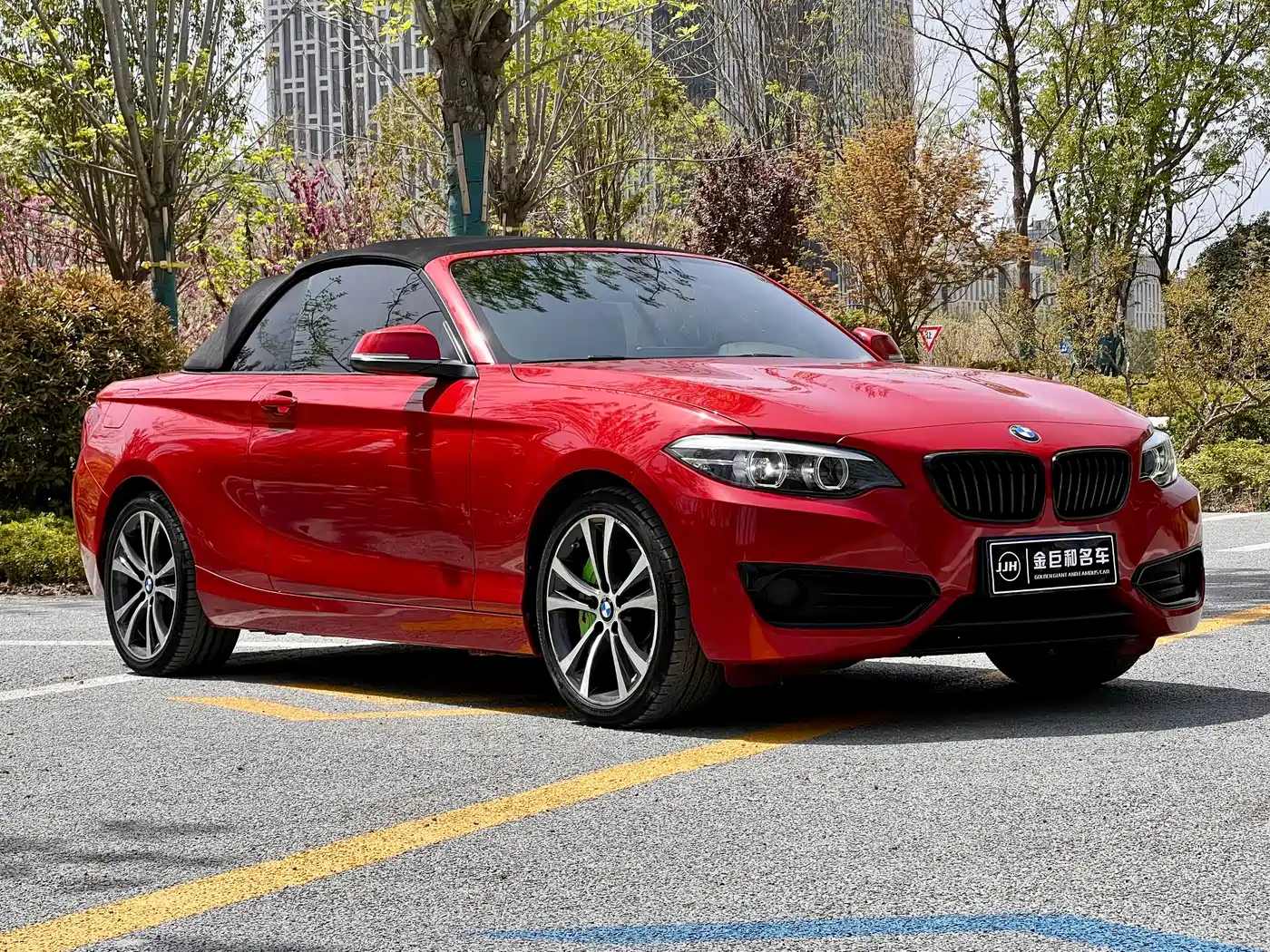 BMW 2 Series (Import) 2019 225i Convertible Coupe Sport Design Package фото 2