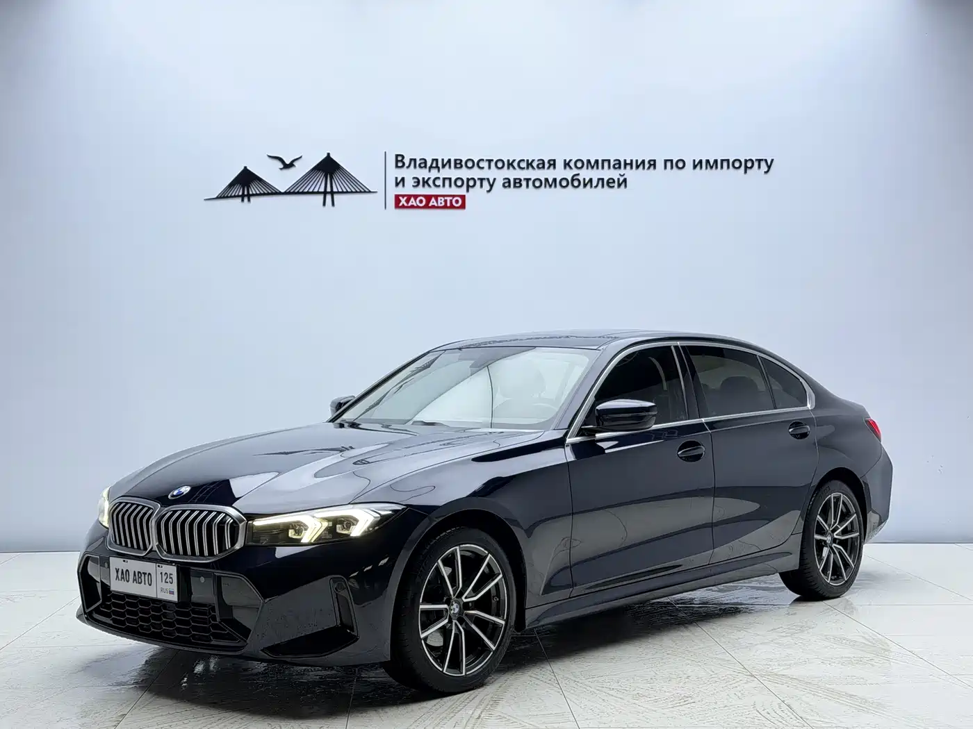  BMW BMW 3 Series 2023 320Li M Sport Package