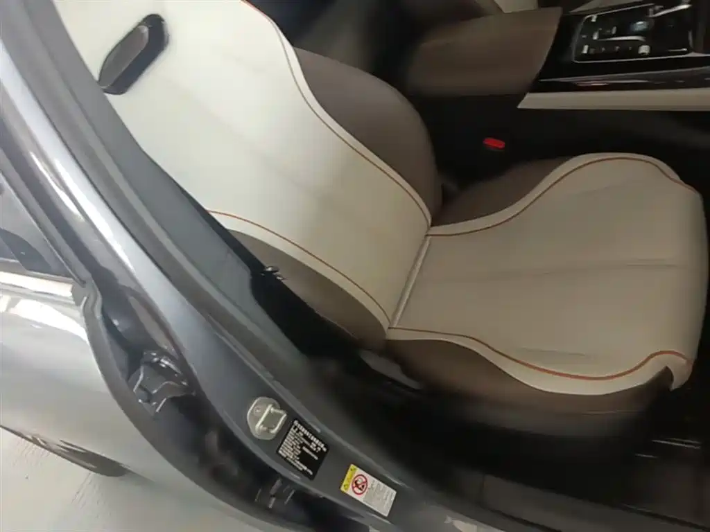 BYD Qin PLUS 2023 Champion Edition DM-i 120KM Excellence фото 25