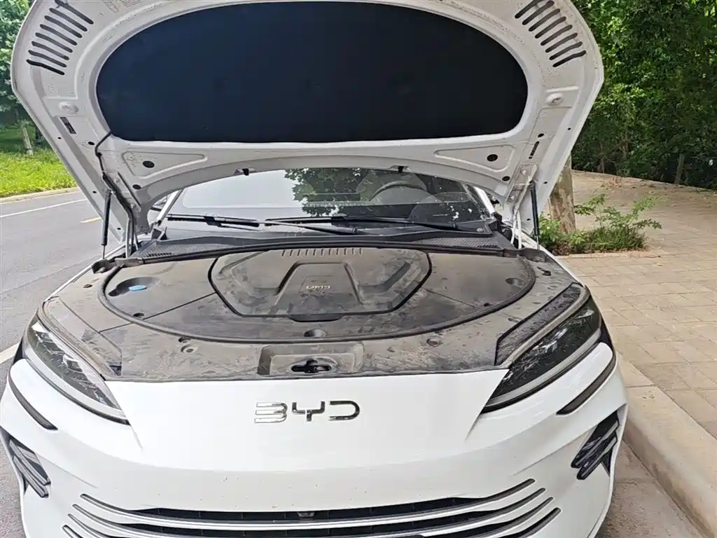 BYD Song PLUS PHEV 2025 DM-i 112KM Honor фото 19