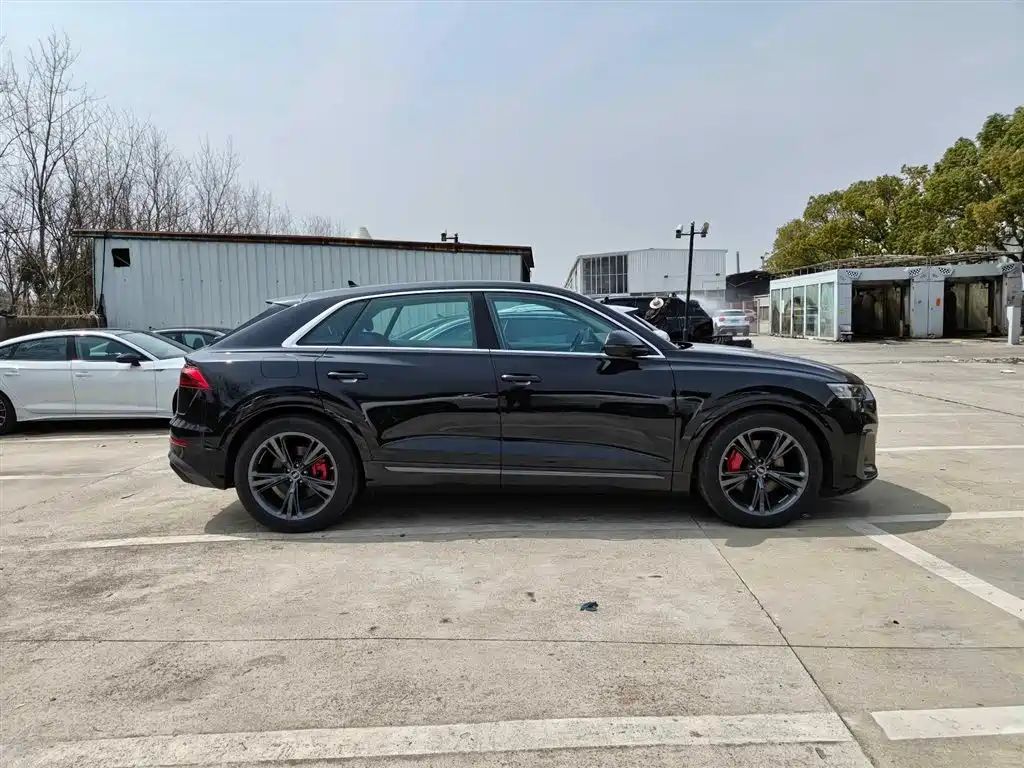 Audi Q8 2024 55 TFSI Luxury Sport фото 3