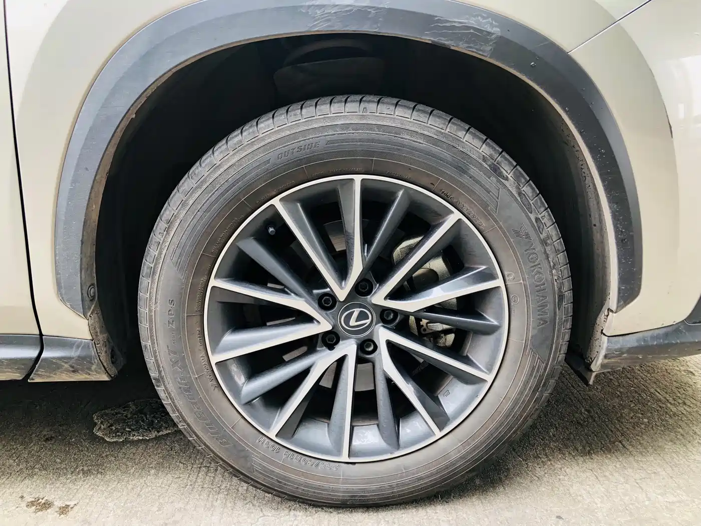 Lexus NX 2023 2023 260 FWD Dynamic Edition