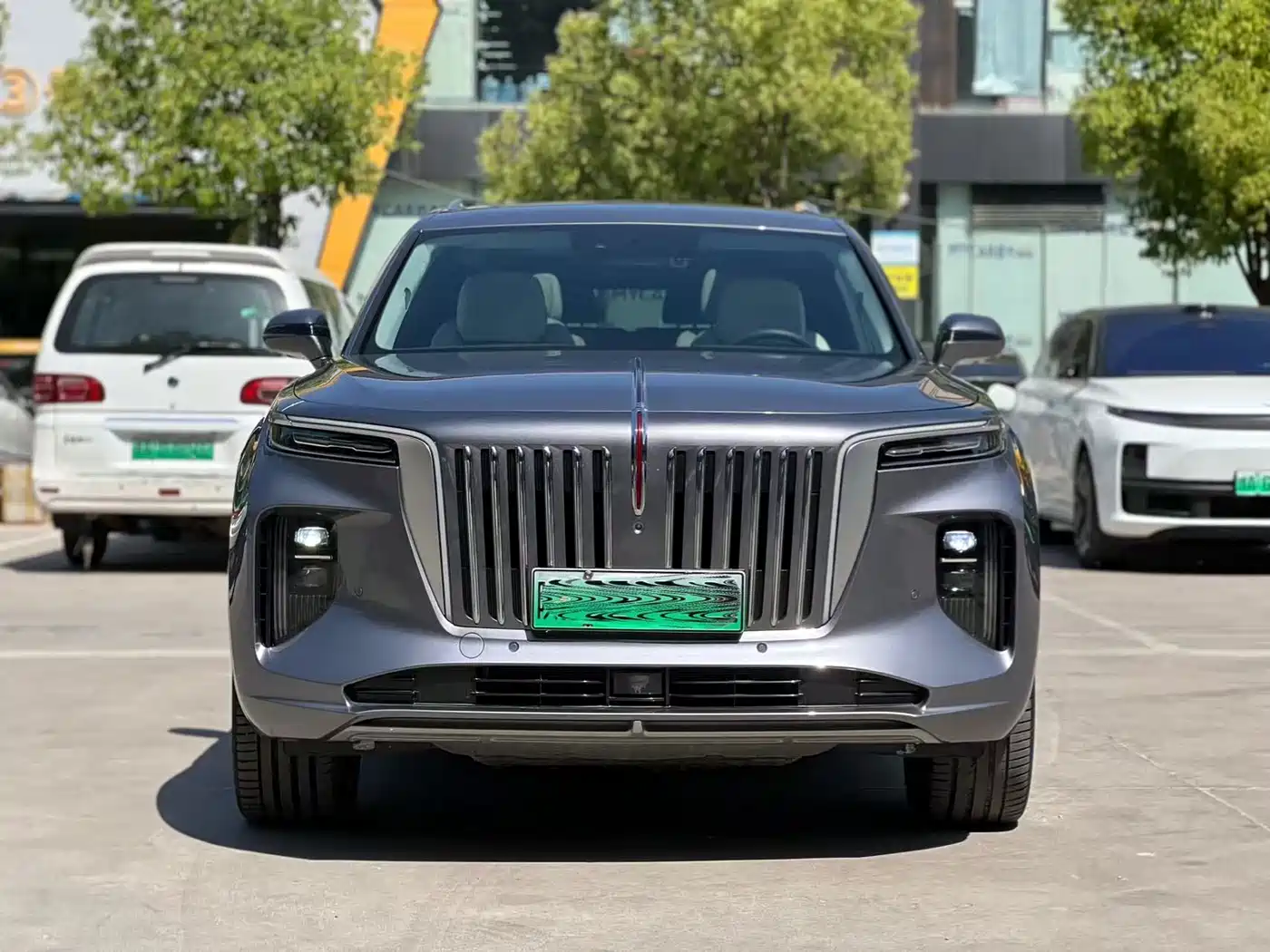 Hongqi E-HS9 2021 460km Flagship Comfort 6-seater фото 2