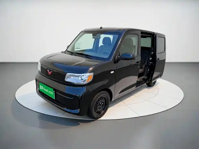  Wuling Motors Wuling Zhiguang NEV 2025 Standard Version