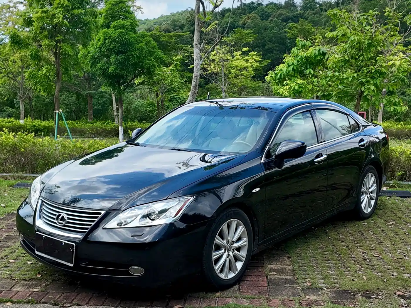 Lexus ES 2010 350 Luxury Edition фото 14