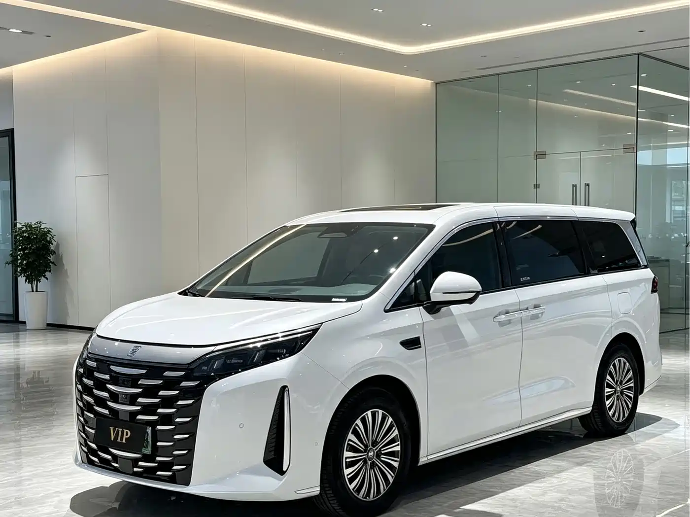 BYD Xia 2025 2025 DM-i 1.5T 180km Excellence