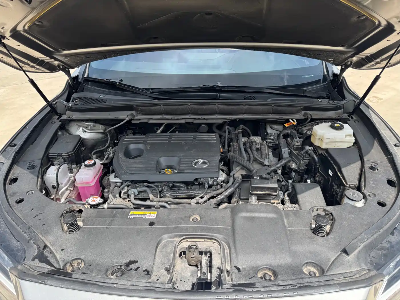 Lexus RX 2024 2023 350h 2WD Comfort Edition