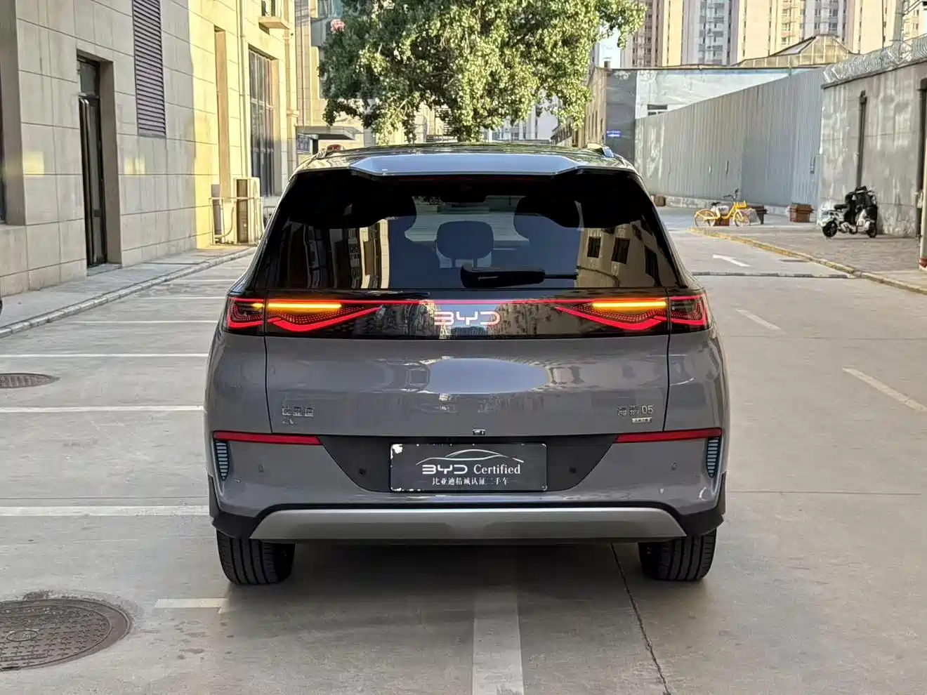 BYD Hai Shi 05 EV 2025 520KM Flagship Smart Navigation Edition фото 9