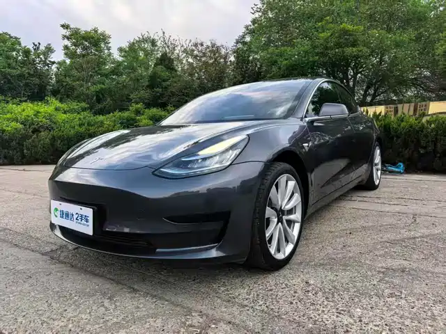 TESLA MODEL 3 2020