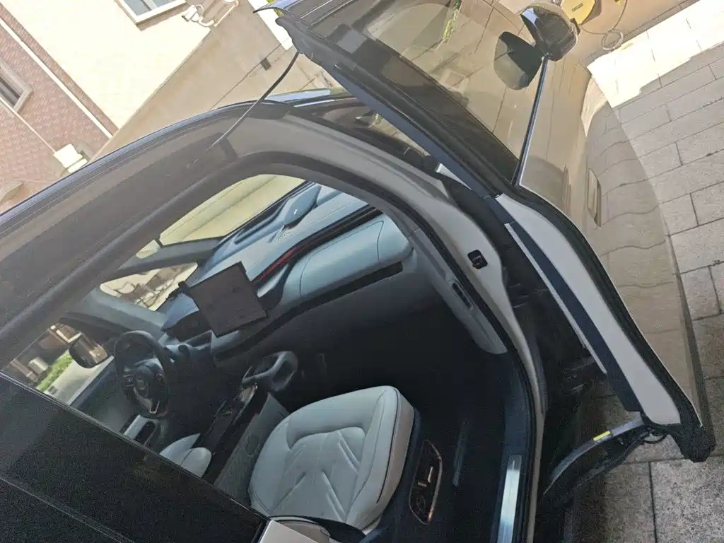 ZEEKR MIX 2024 2025 Long Range Intelligent Driving Edition