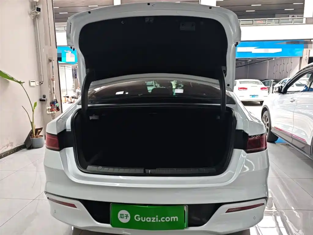 BYD Qin PLUS 2024 Glory Edition DM-i 120KM Surpass фото 19