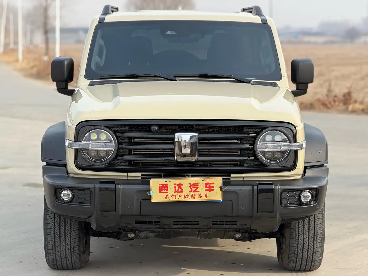 Tank 300 2025 2.4T Diesel Version фото 3
