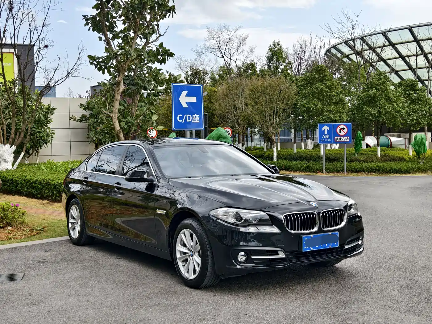 BMW 5 Series 2014 520Li Elegance фото 3