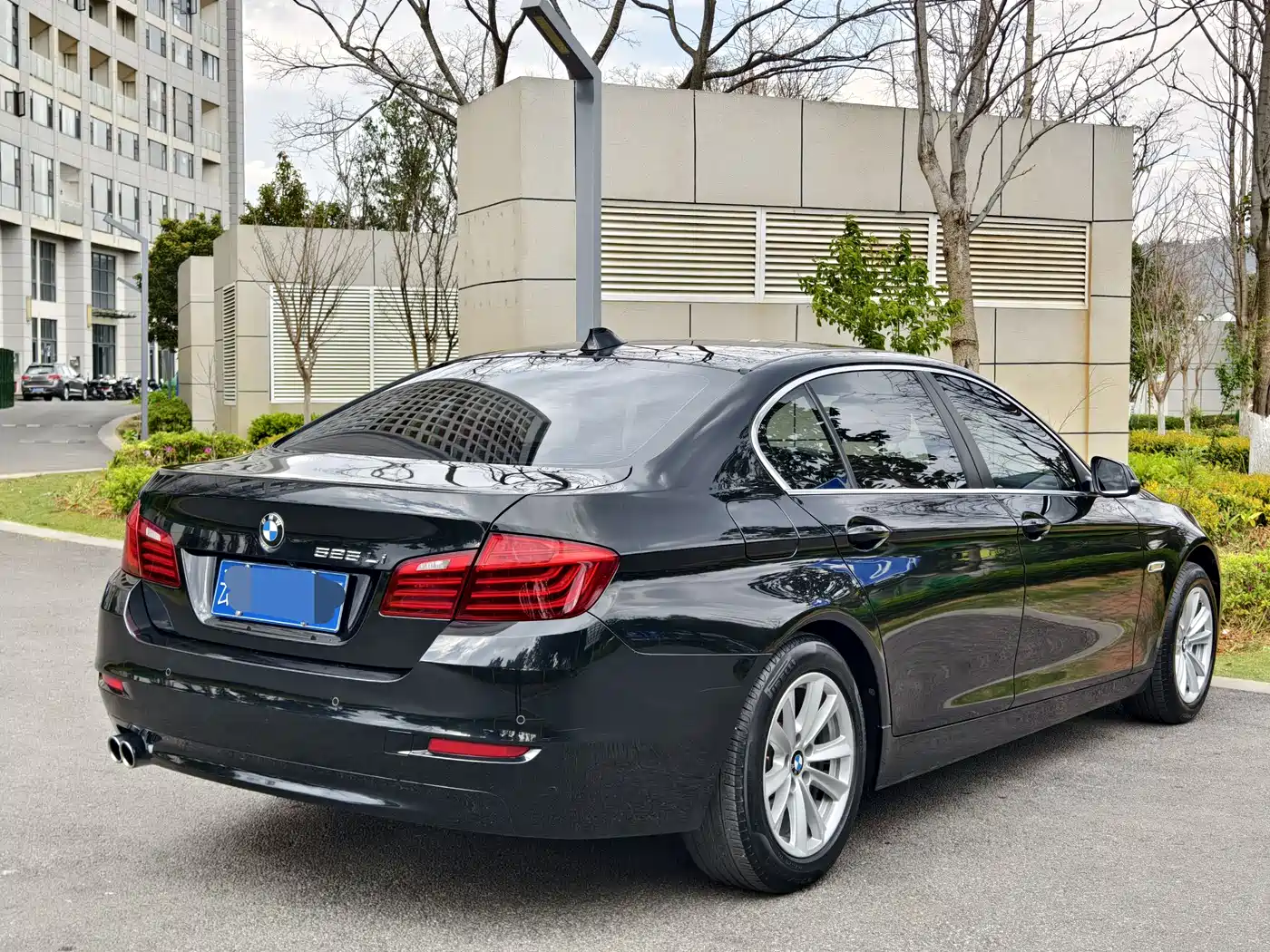 BMW 5 Series 2014 520Li Elegance фото 7