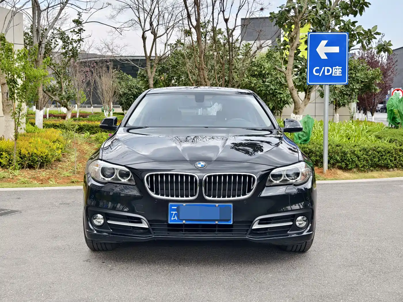 BMW 5 Series 2014 520Li Elegance фото 2