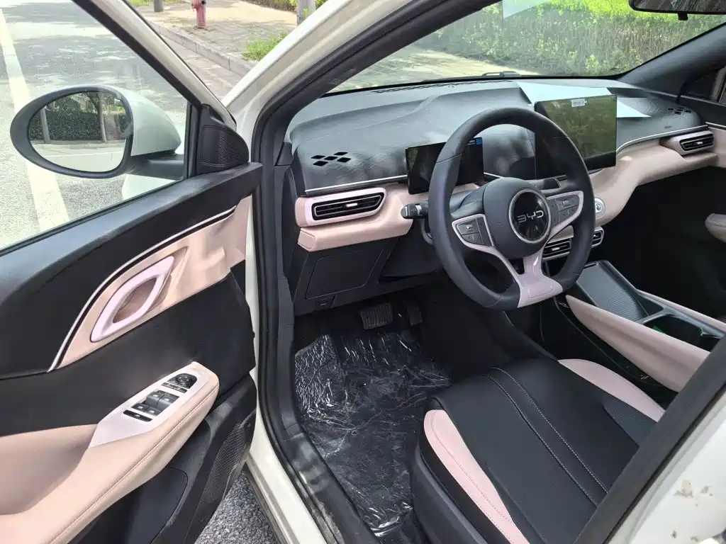 BYD Seagull 2026 2025 Smart Drive Edition 305km Vitality Version