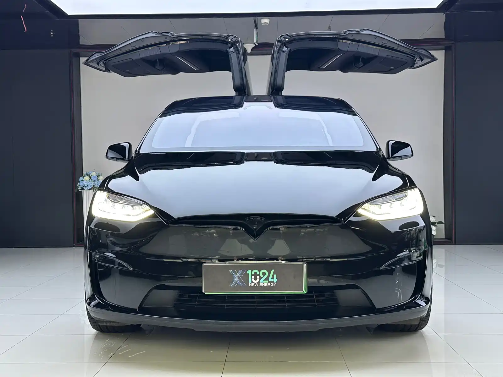Фото 2 - Tesla Model X
