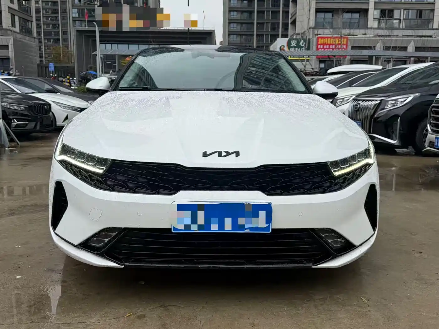 Kia K5 2020 270T CVVD Luxury Edition фото 2