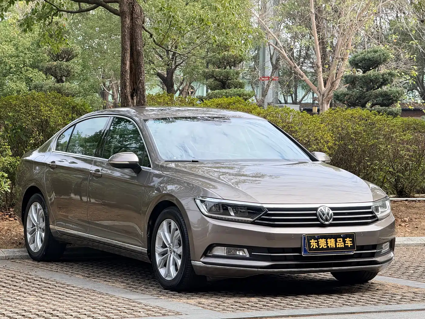 Volkswagen Magotan 2017 330TSI DSG Luxury