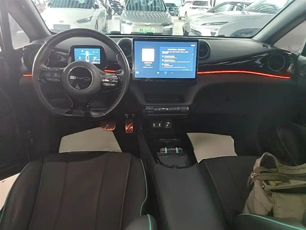 BYD Dolphin 2023 401km Knight Edition фото 10