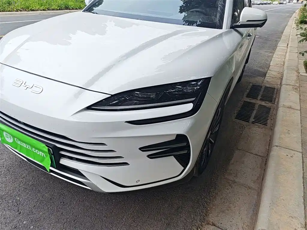 BYD Song PLUS PHEV 2025 DM-i 112KM Honor фото 23