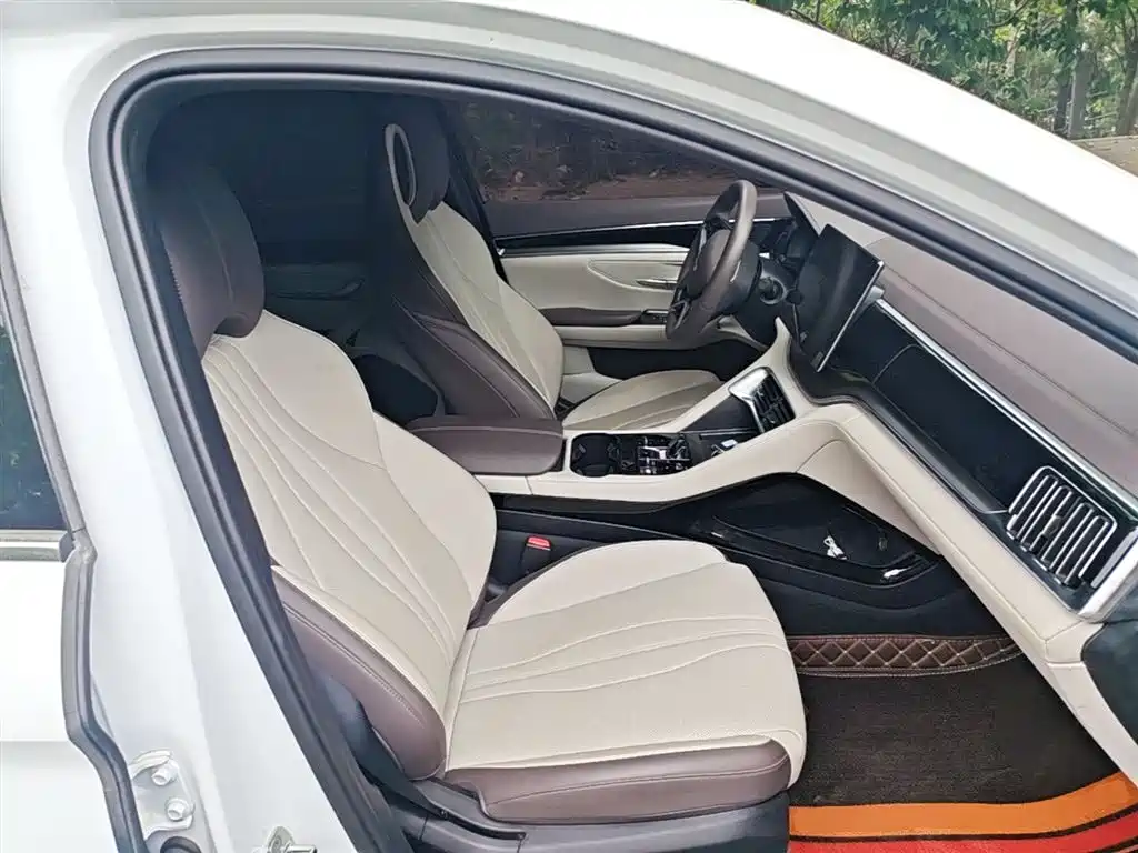 BYD Song PLUS PHEV 2025 DM-i 112KM Honor фото 24
