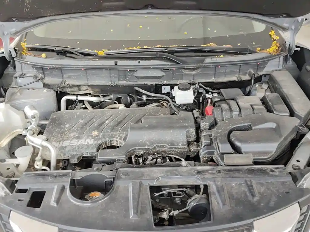 Nissan X-Trail 2025 2025 Honor 2.0L 2WD Leading Edition