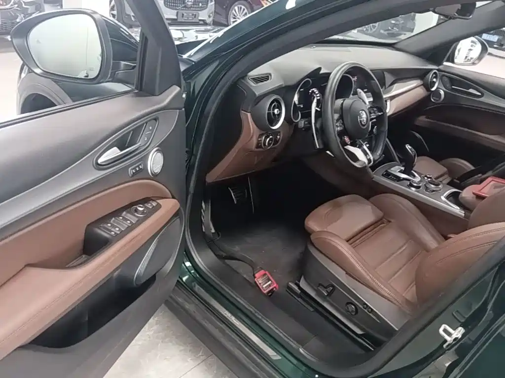 Alfa Romeo Stelvio 2021 2020 2.0T 280HP Luxury Edition