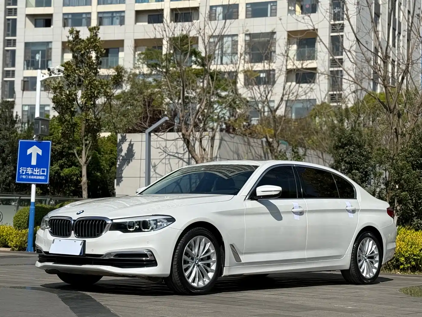 BMW 5 Series 2019 530Li Leading Luxury Package