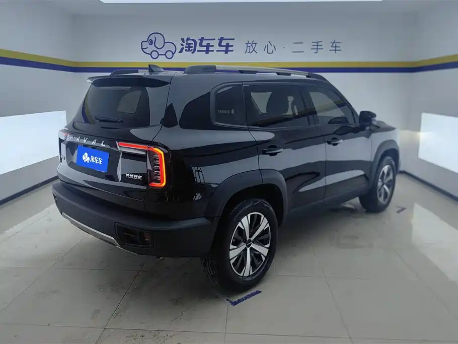 Haval Big Dog 2022 1.5T DCT FWD Labrador Edition фото 3