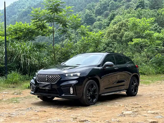 WEY VV7 2020 Model 2.0T Flagship