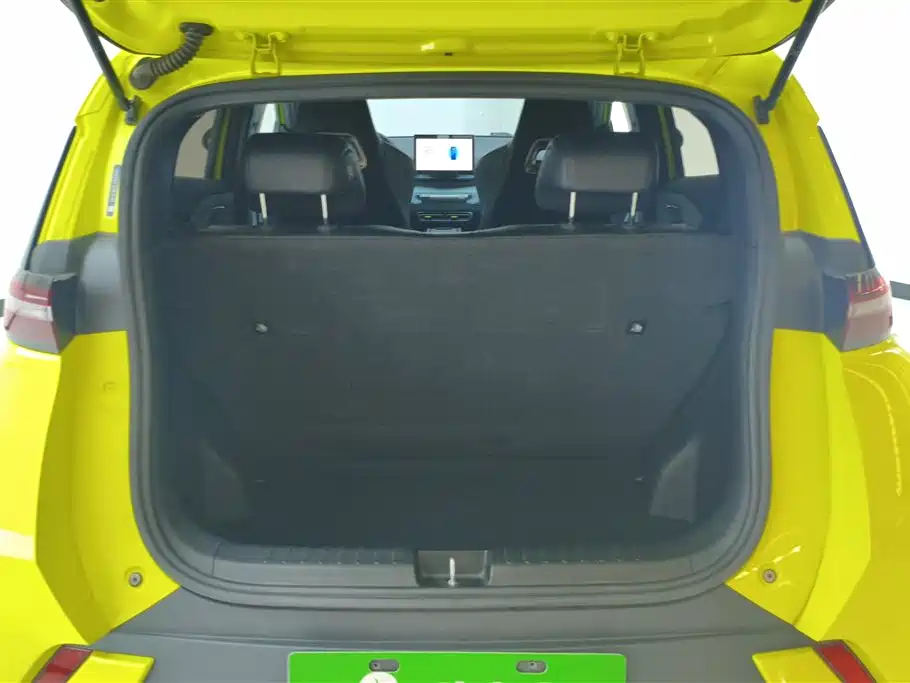 BYD Seagull 2023 Freedom Edition фото 4