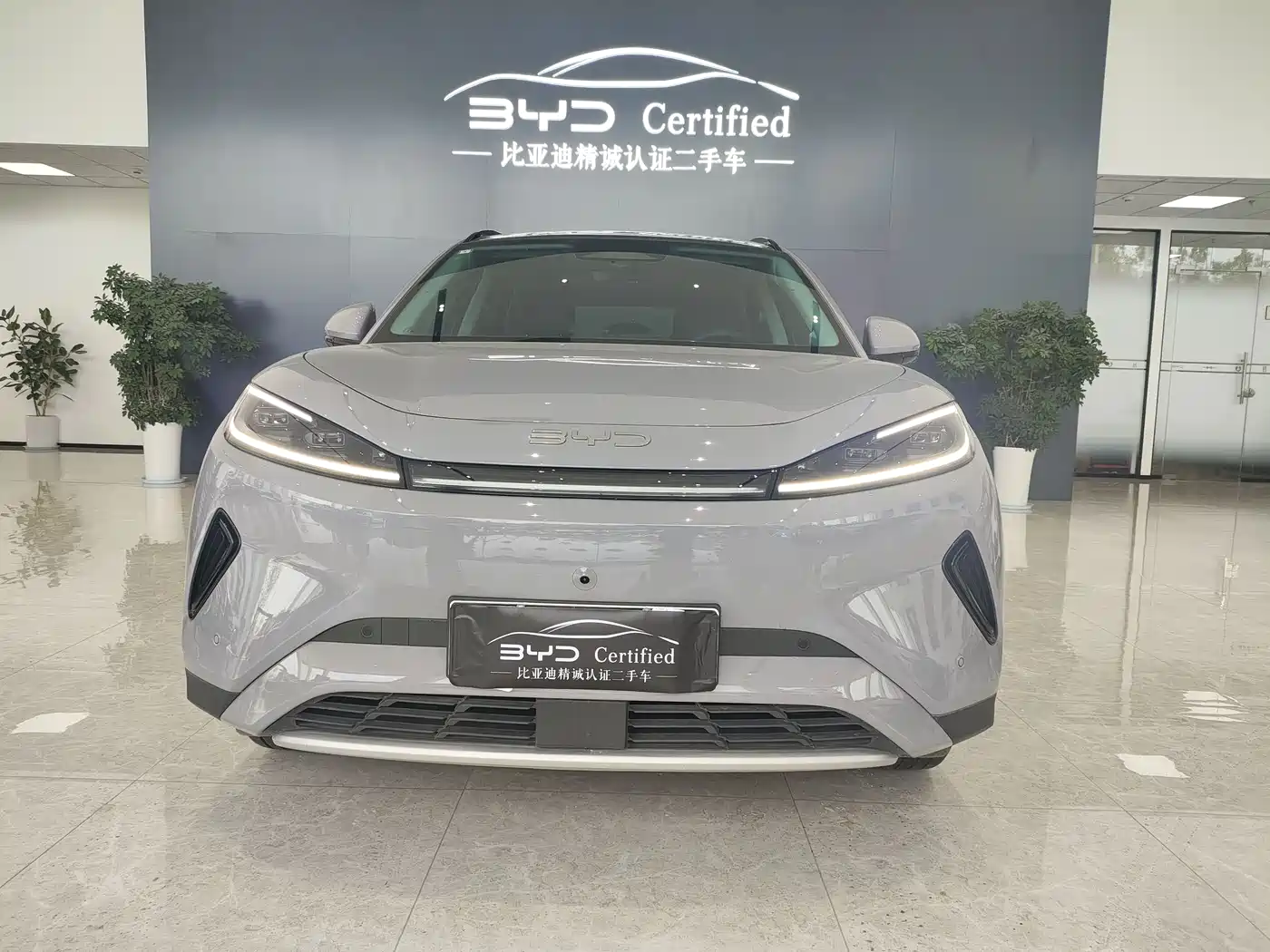 BYD Hai Shi 05 EV 2025 520KM Flagship Smart Navigation Edition фото 2