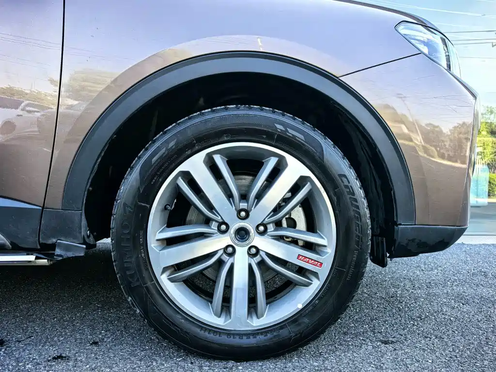 صورة 17 - Haval H6