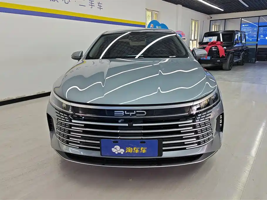 BYD Destroyer 05 2024 Glory Edition DM-i 55KM Luxury фото 2