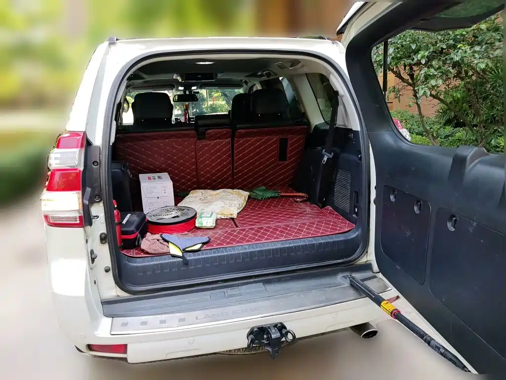 Фото 10 - Toyota Prado